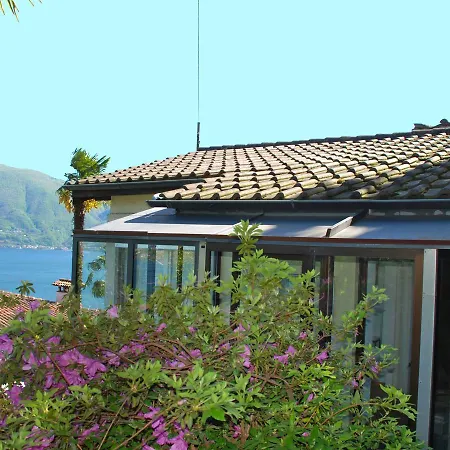 Holiday Gaggetto Ασκόνα